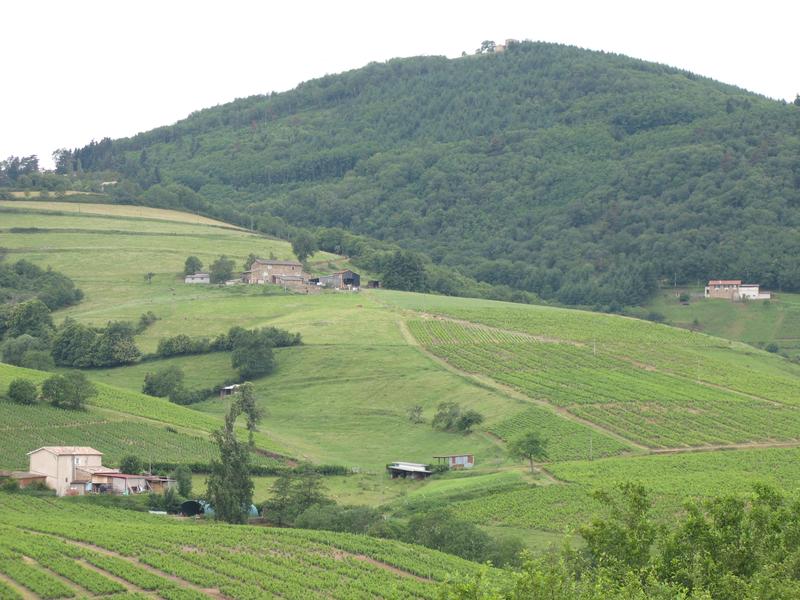 Circuit les Tétières_Blacé