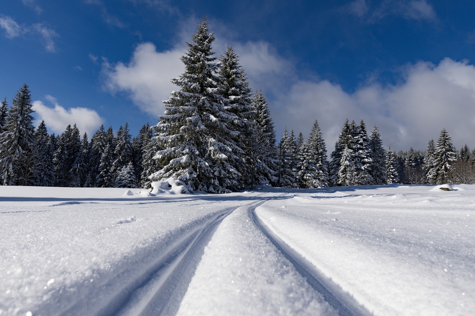 Les pistes de ski de fond au départ du Col de Carri