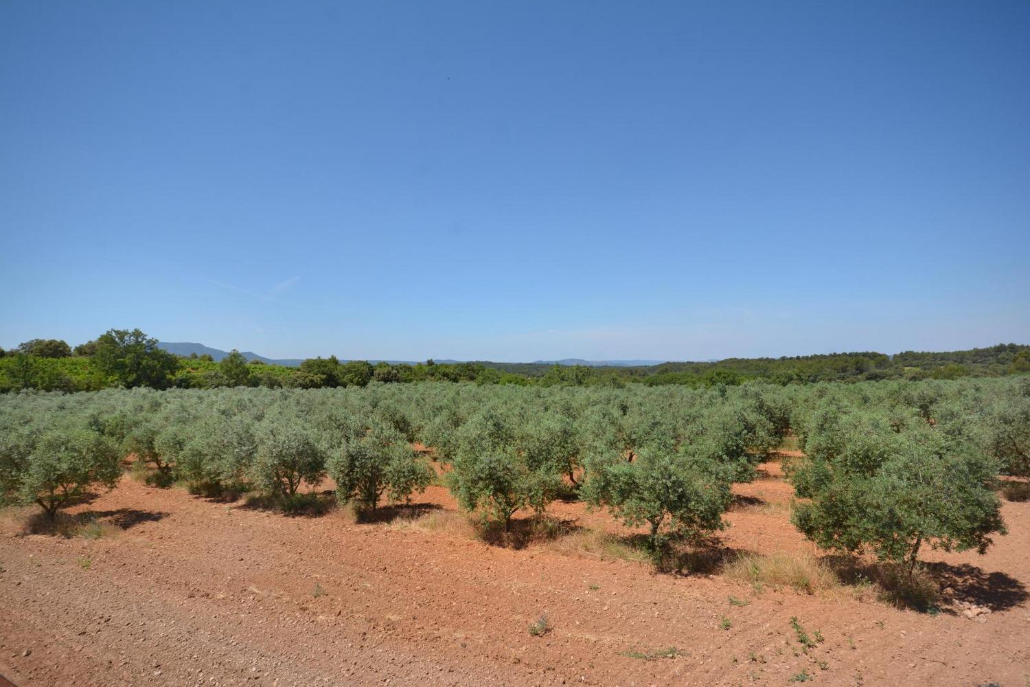 La Sainte Victoire, Jouques - photo 3
