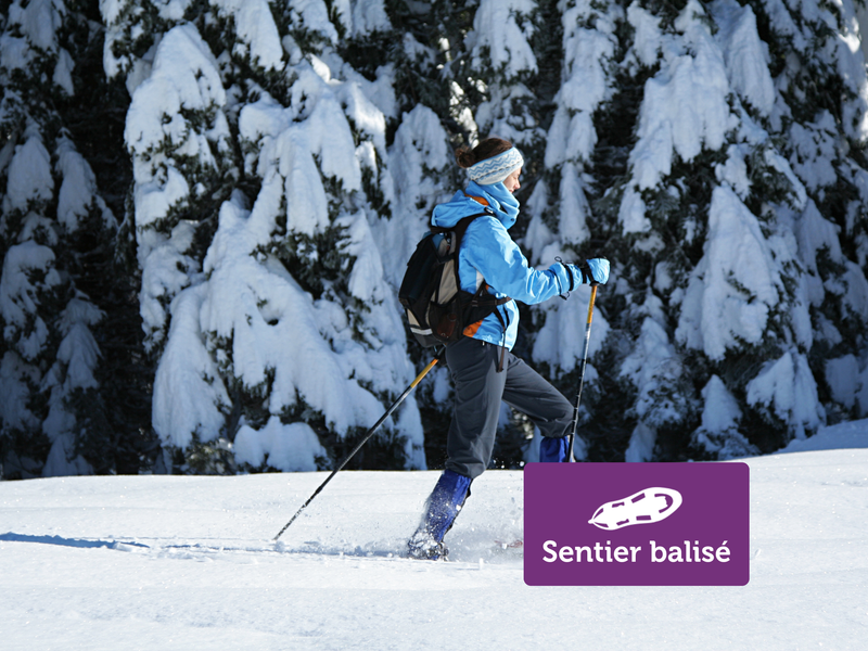 Tour de la Tête de Romme - Randonnée hivernale_Nancy-sur-Cluses