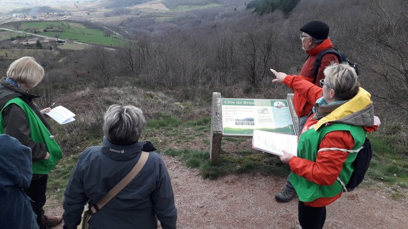 Balade oenologique des 10 crus