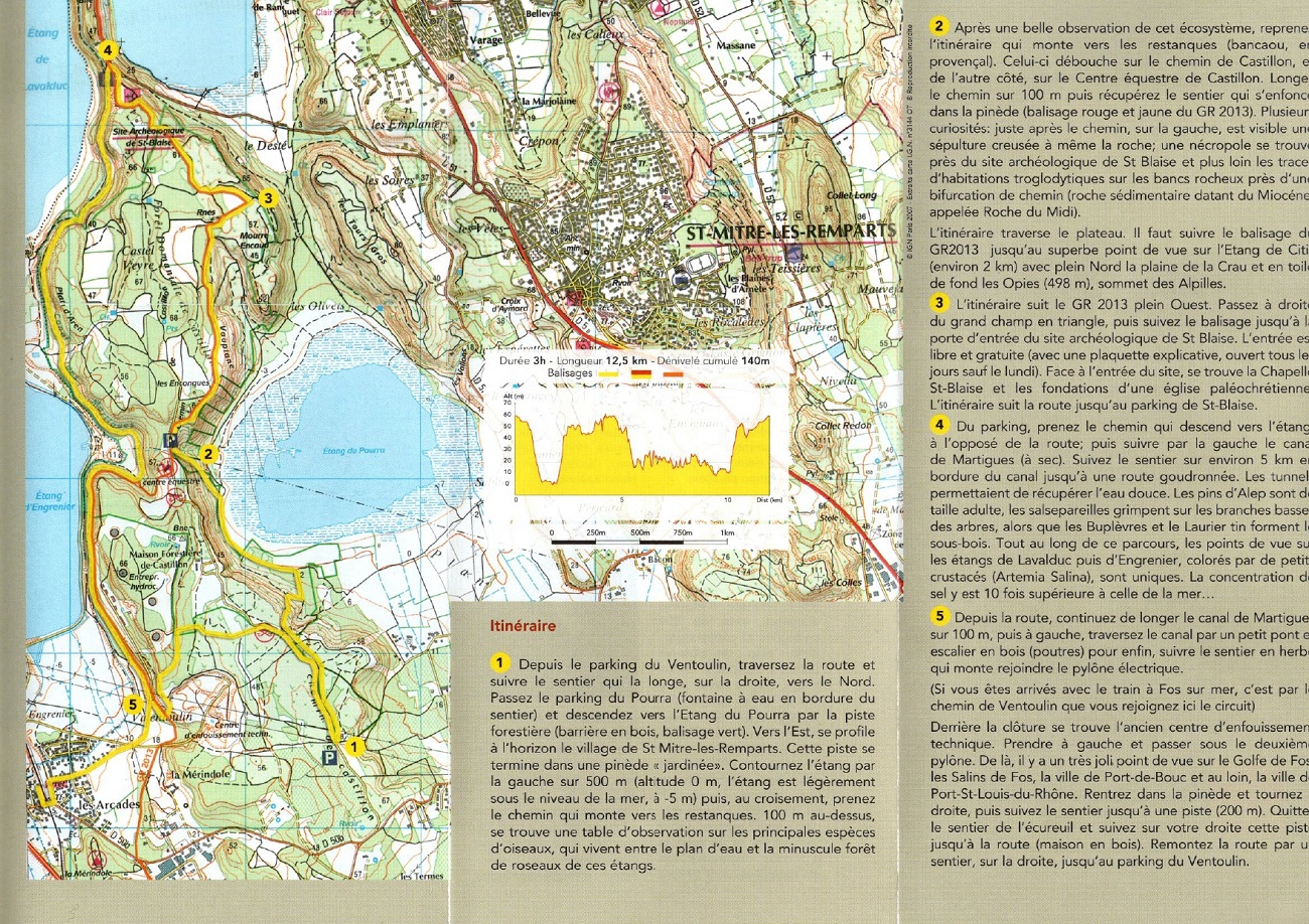Forêt de Castillon - photo 3