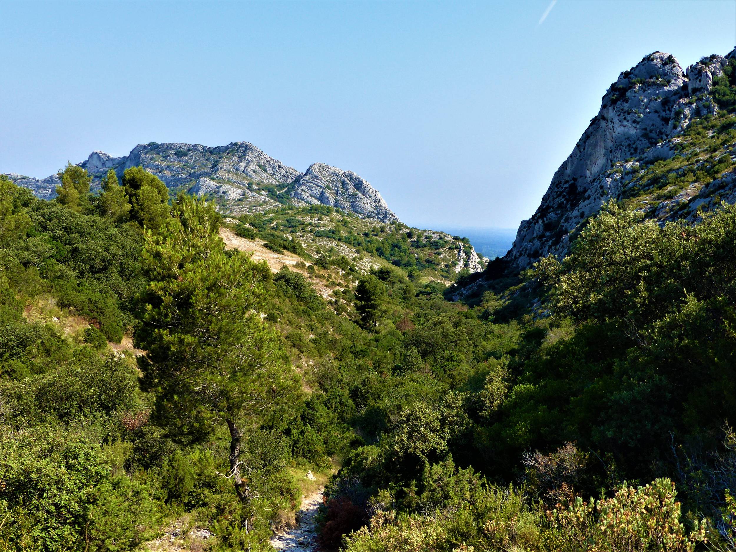EYGALIÈRES - Petit et Gros Calans, Eygalières - photo 5