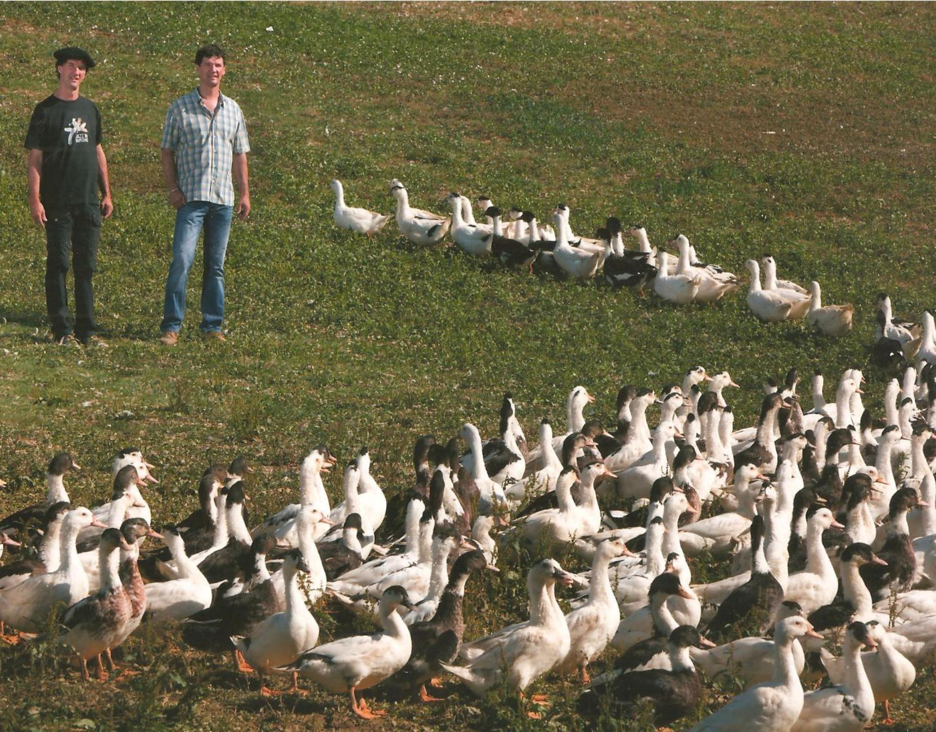 Visite et dégustation à la ferme de la Patte d'oie