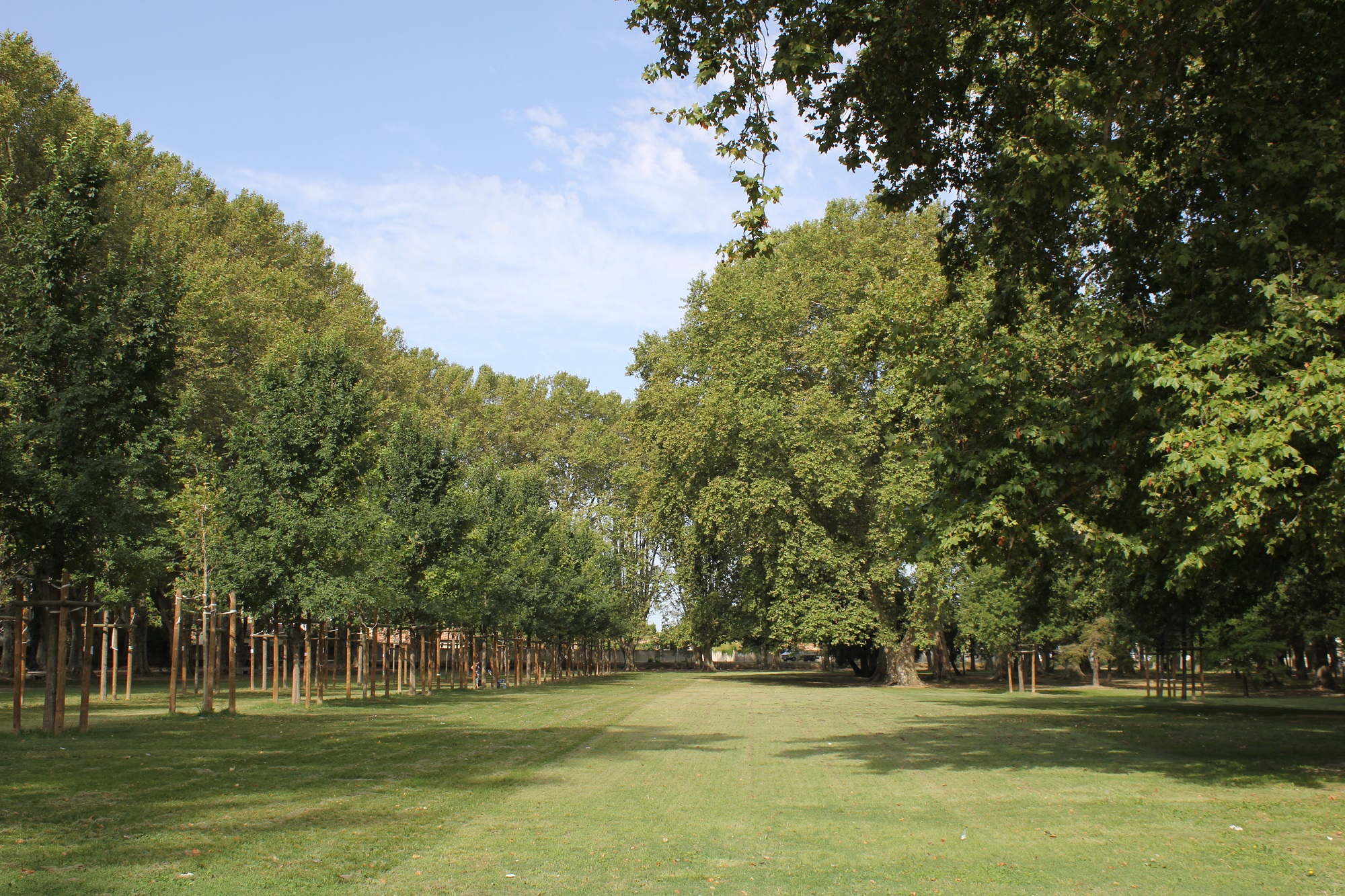 Parc du château, Saint-Andiol - photo 3