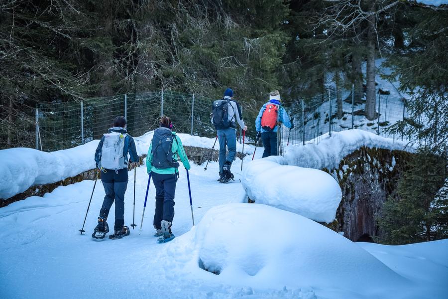 Animation nature de la réserve naturelle