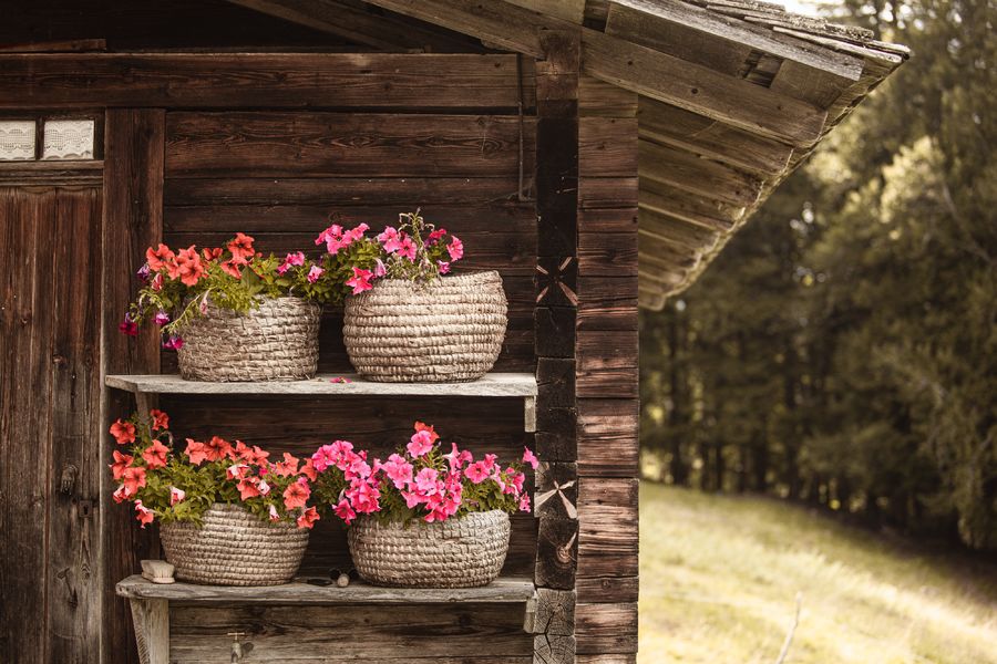 Les frasses Jacquier