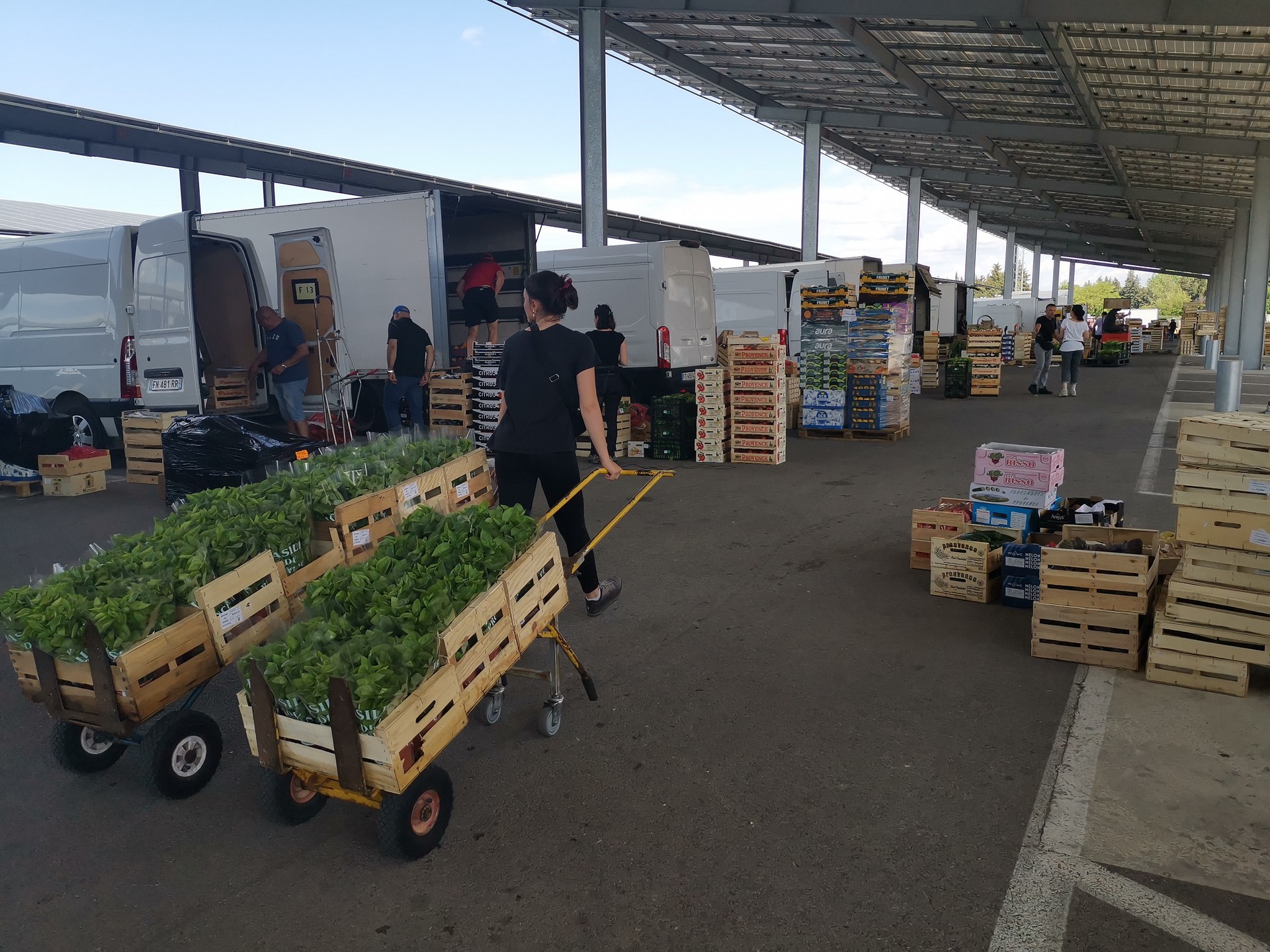 Wholesale fruit and vegetable market