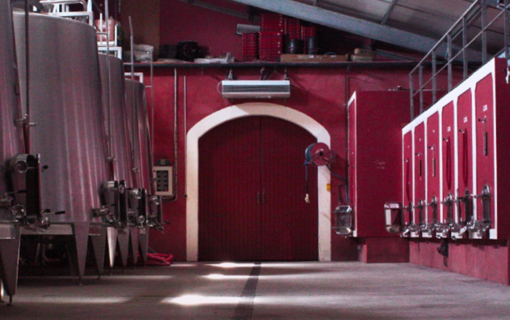 Visite domaine Selve 1
