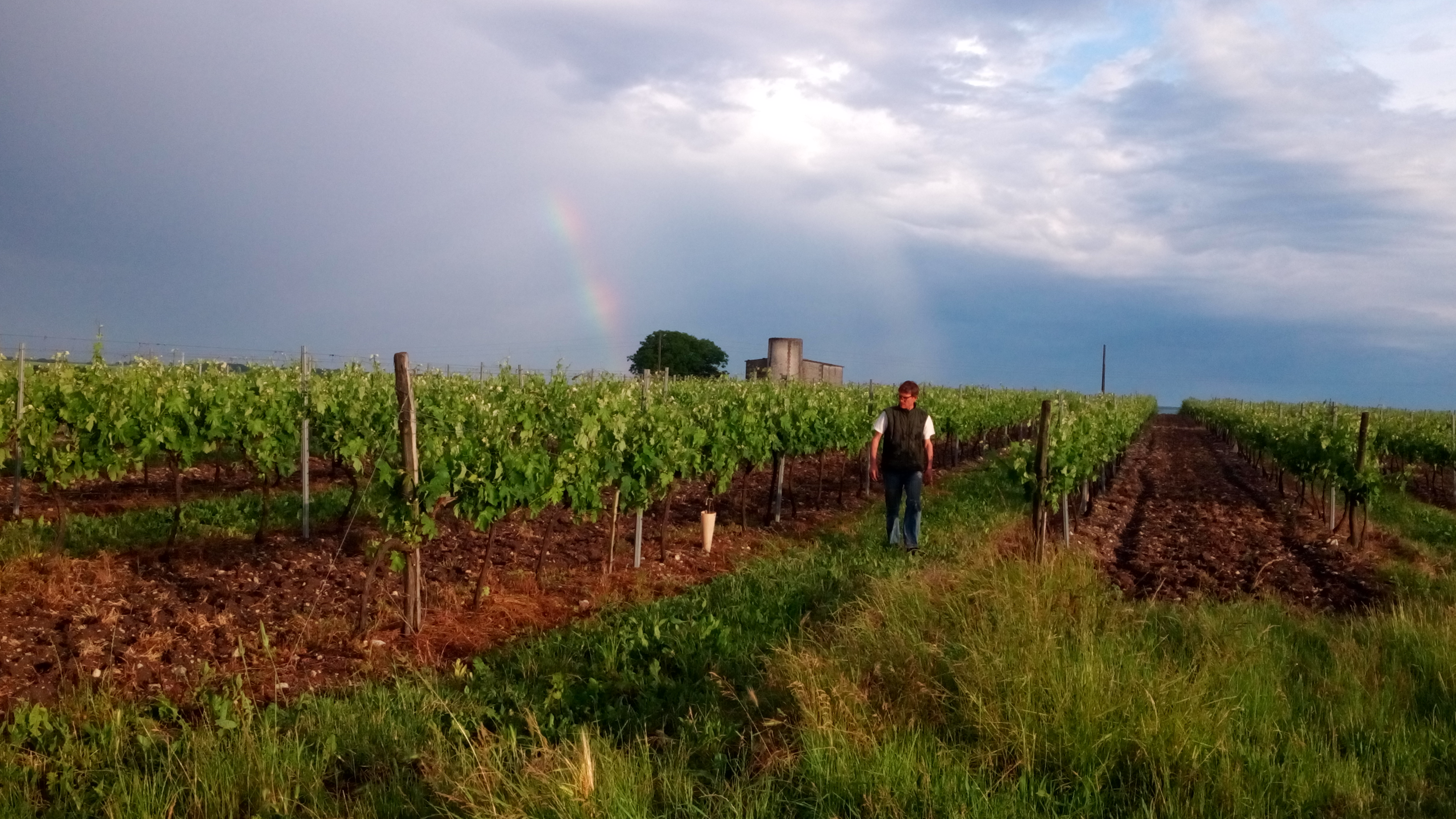 De la vigne au verre - Cognac Raison Personnelle