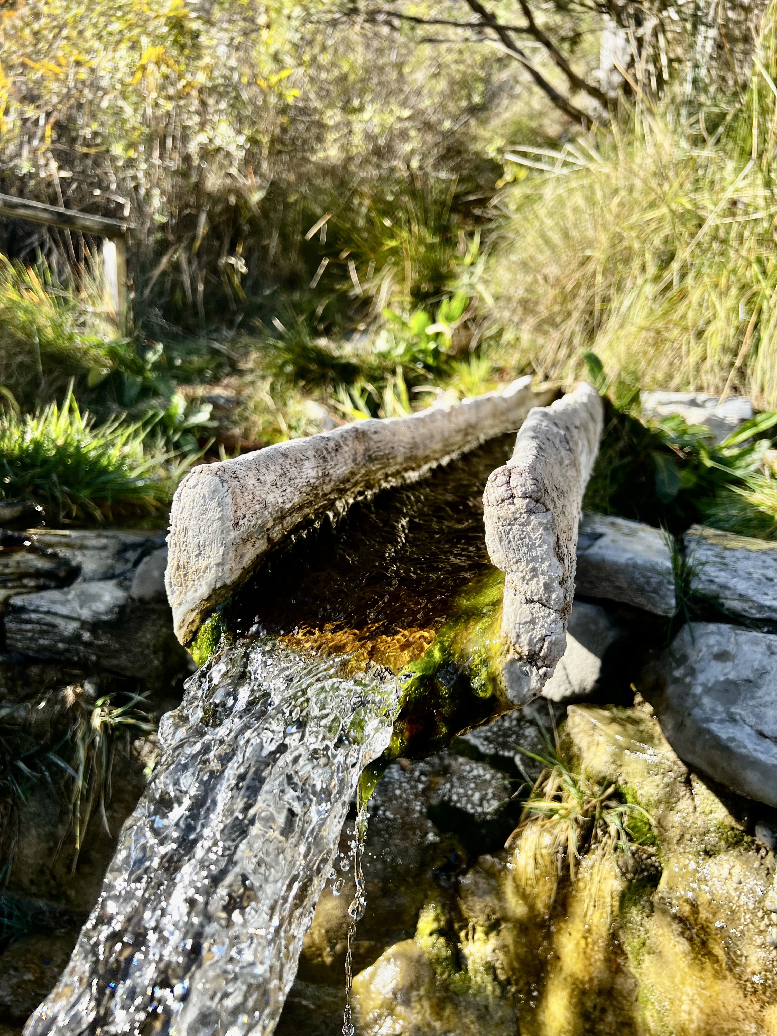 Nature Xplore CROTS