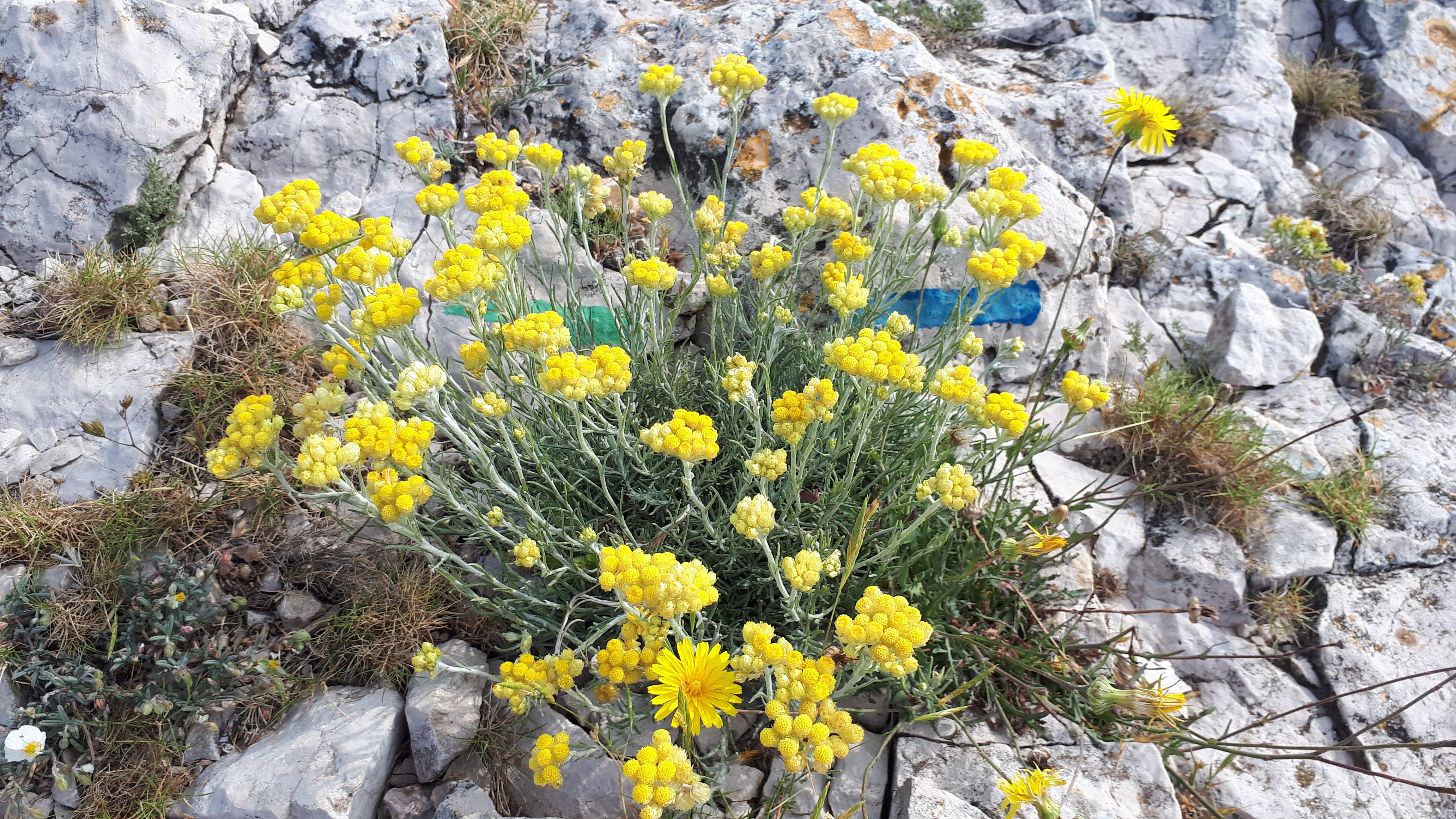 Randonnée vers le sommet de Béouveyre - photo 3