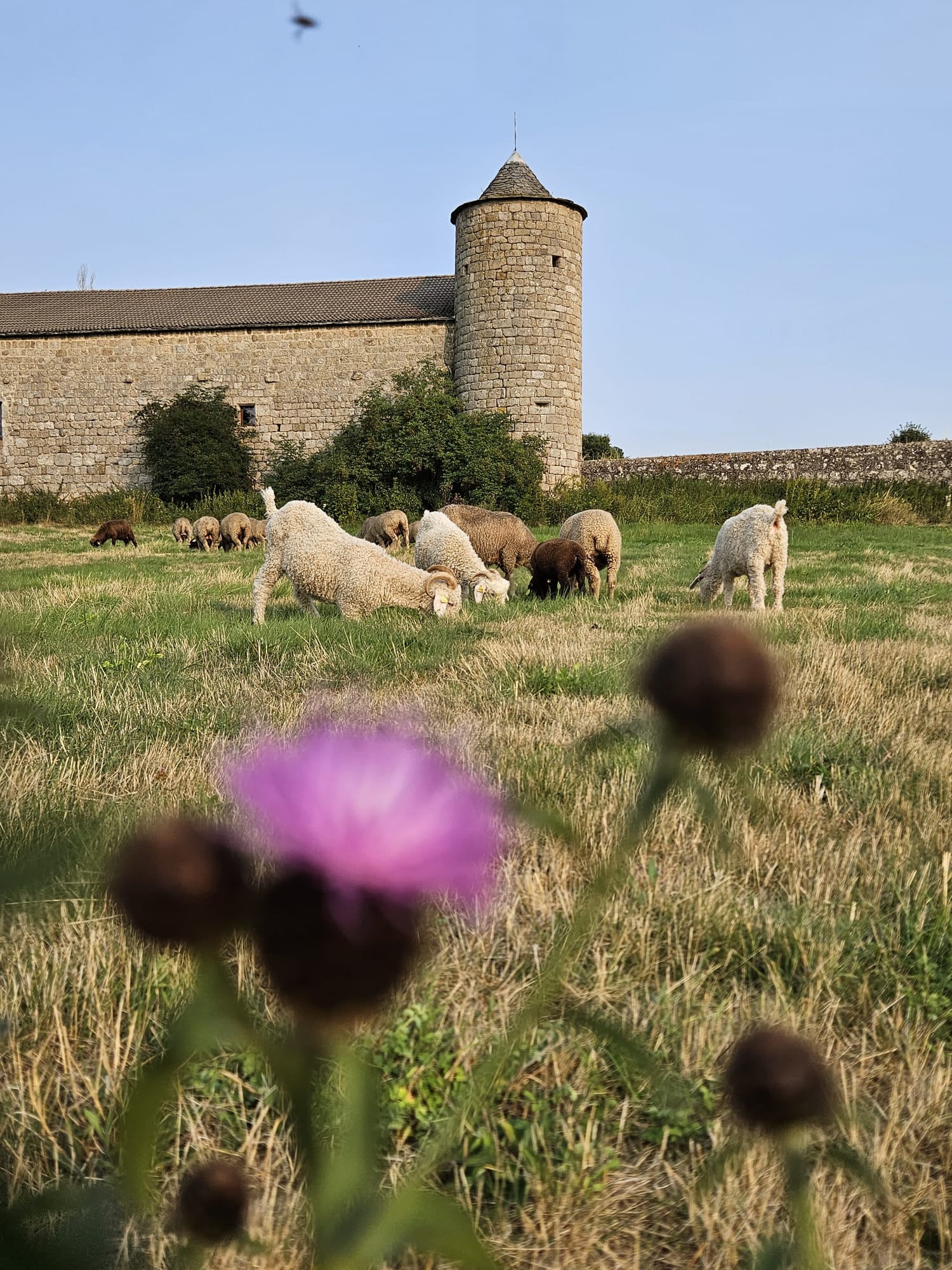 Visite de l'écho-domaine du château du Mazel