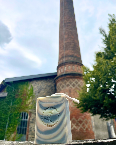 savon lavande savonnerie artisanale sur une branche.png