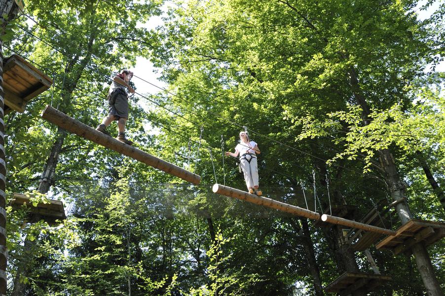 Parcours accrobranche