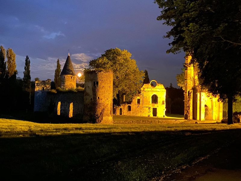 Visite guidée de groupe du Château Royal du Vivier-en-Brie Du 1 janv au 31 déc 2024
