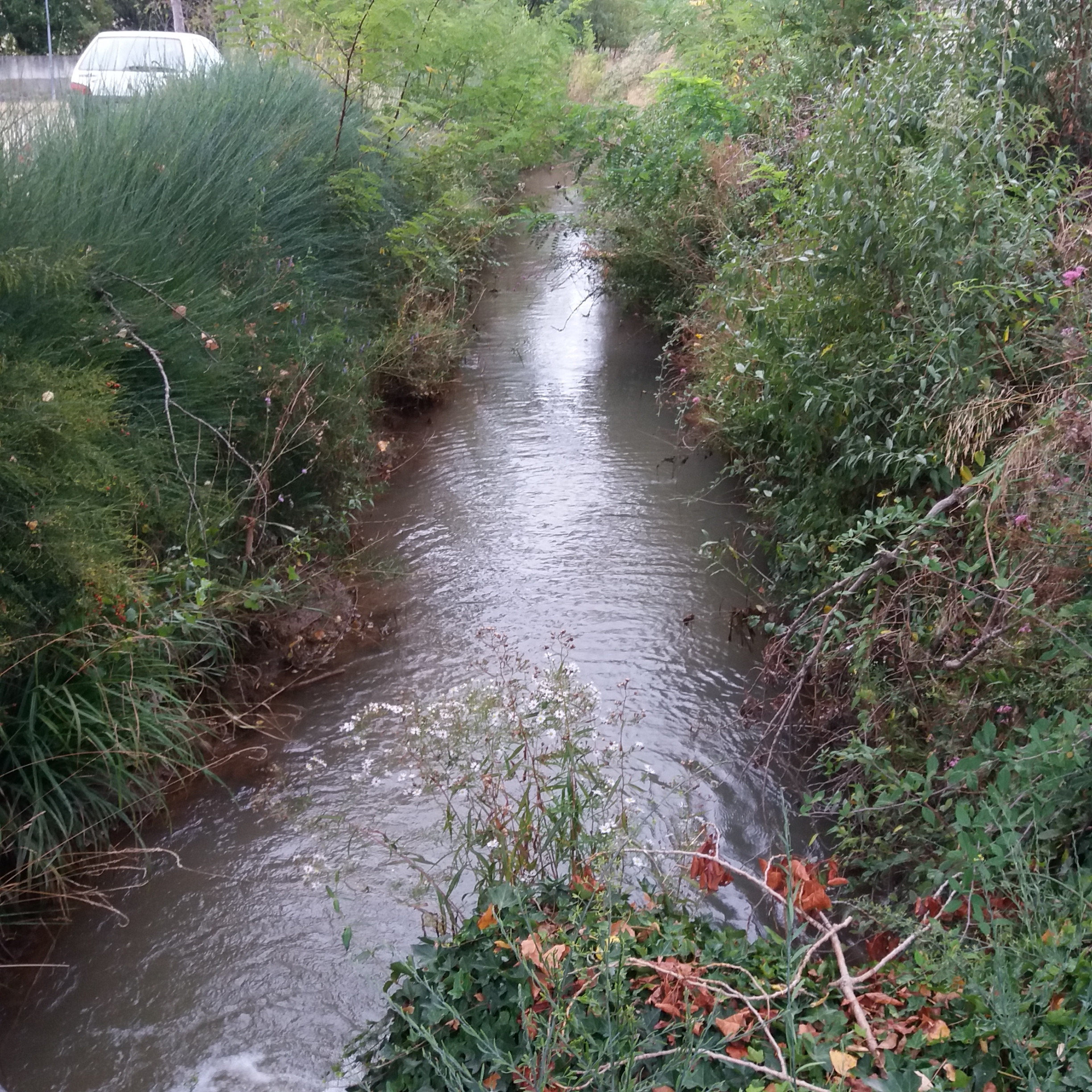 Canal de La Brillanne