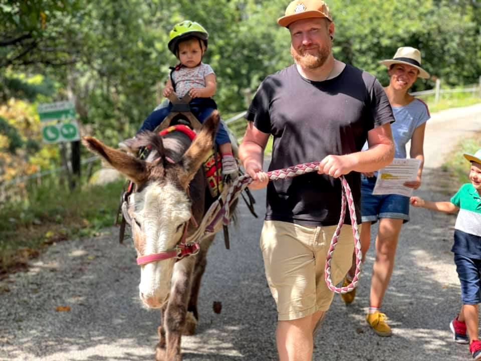 À la Bosse des ânes - Randonnées avec des ânes bâtés