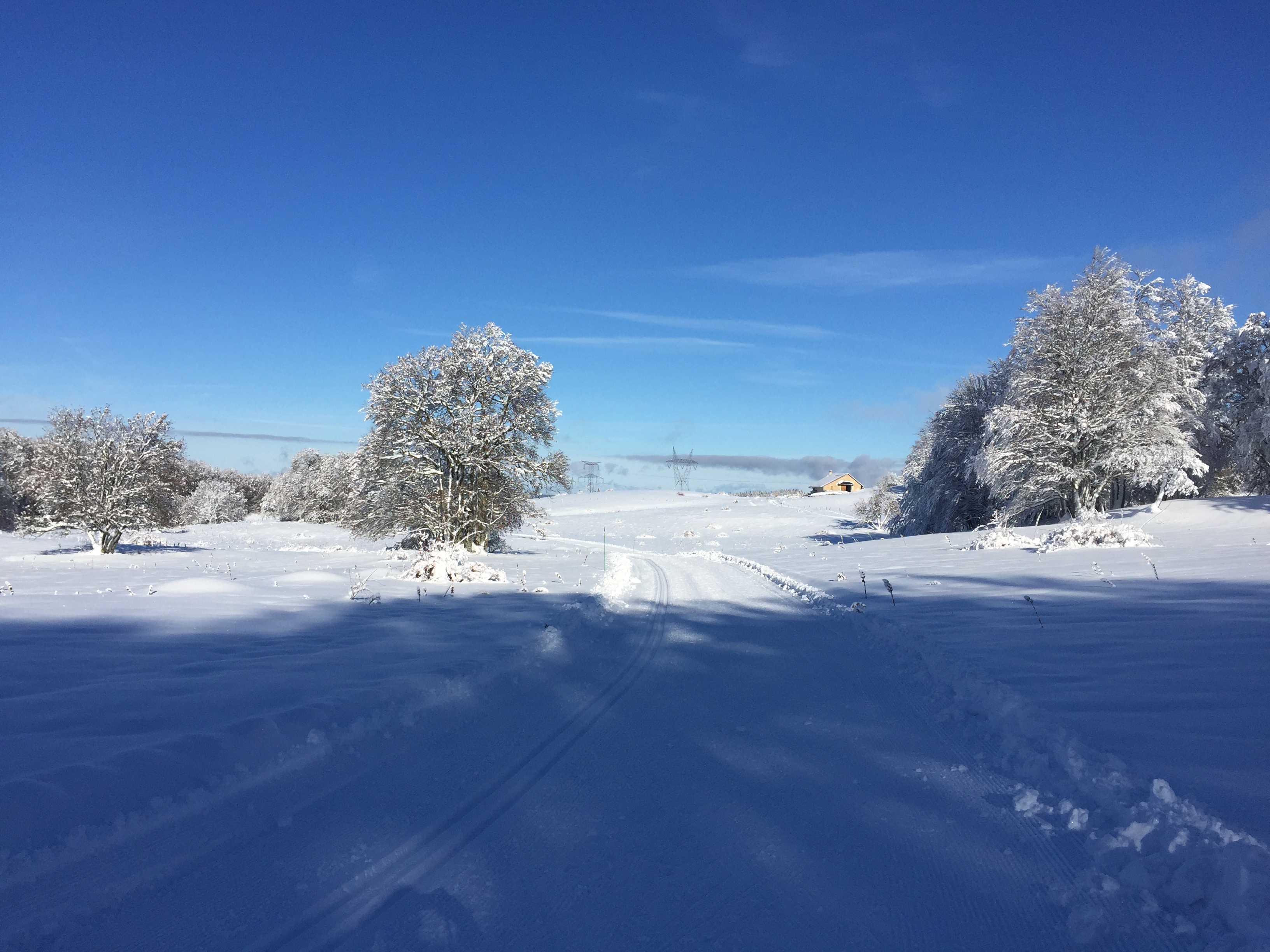 Piste verte de ski de fond du Plateau de Retord : La Vezeronce