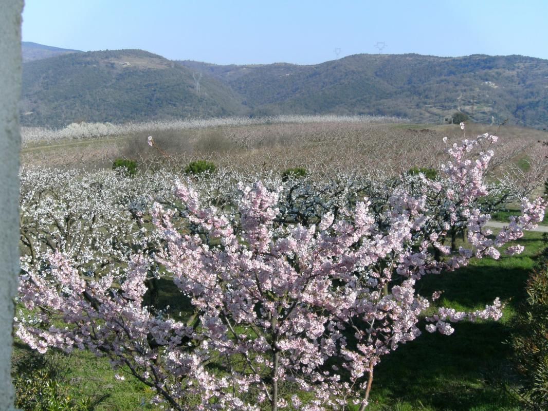 Au printemps devant le gîte
