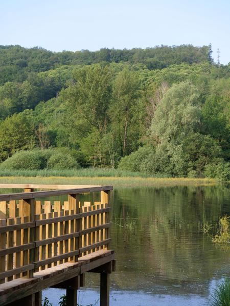 Étang de Chalignieu