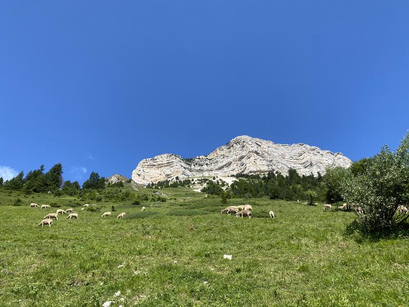 9 - Chamechaude en trail