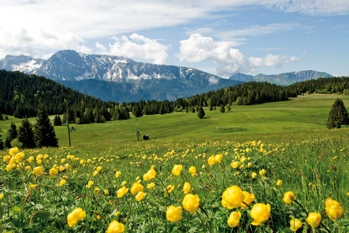 Plateau de l'Arselle Chamrousse