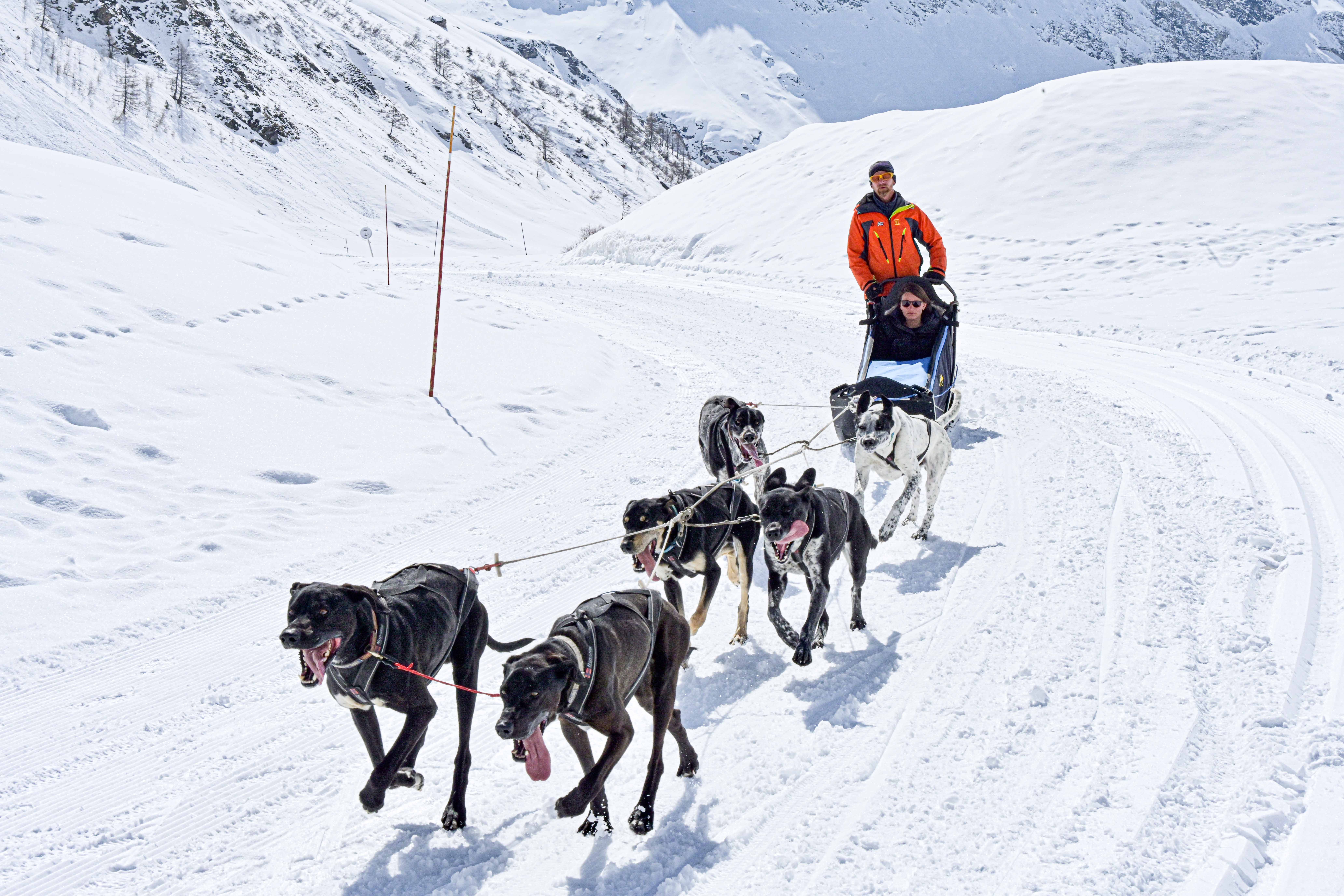Summer Tours Archives - Guided River Trips, Hiking and Dog Sledding
