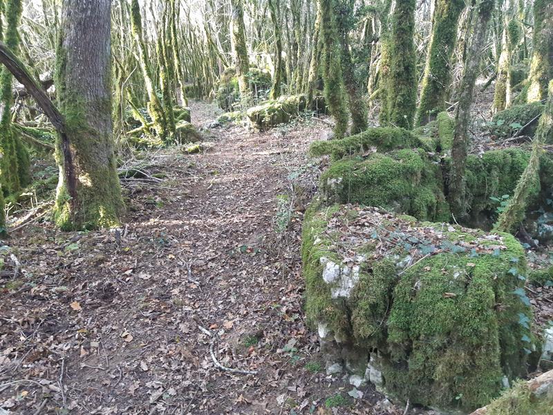 Circuit VTT n°8 (rouge) - Château de Rosy et le col des Justices_Simandre-sur-Suran