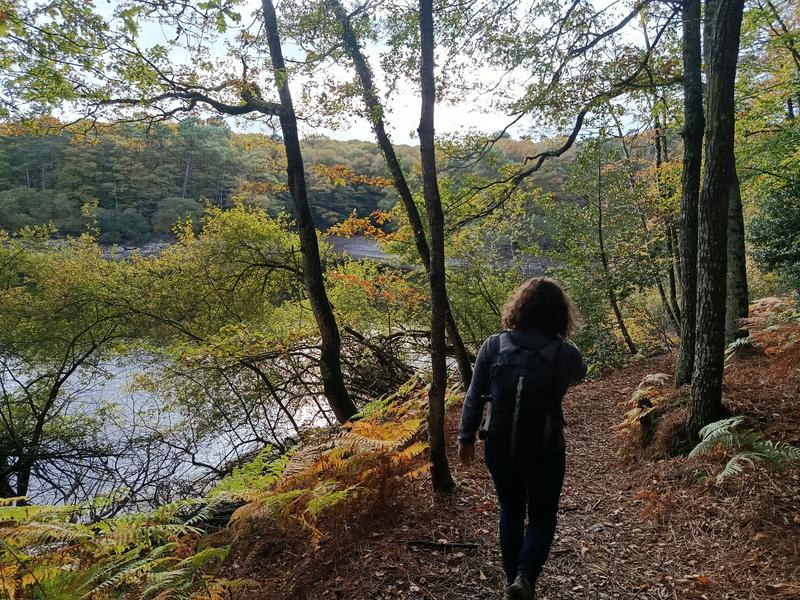Bain de forêt en bord de Lac