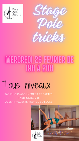 http://Stage%20Pole%20tricks%20avec%20Pole%20Zen%20Studio