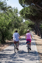 piste cyclable - V65 - Fréjus
