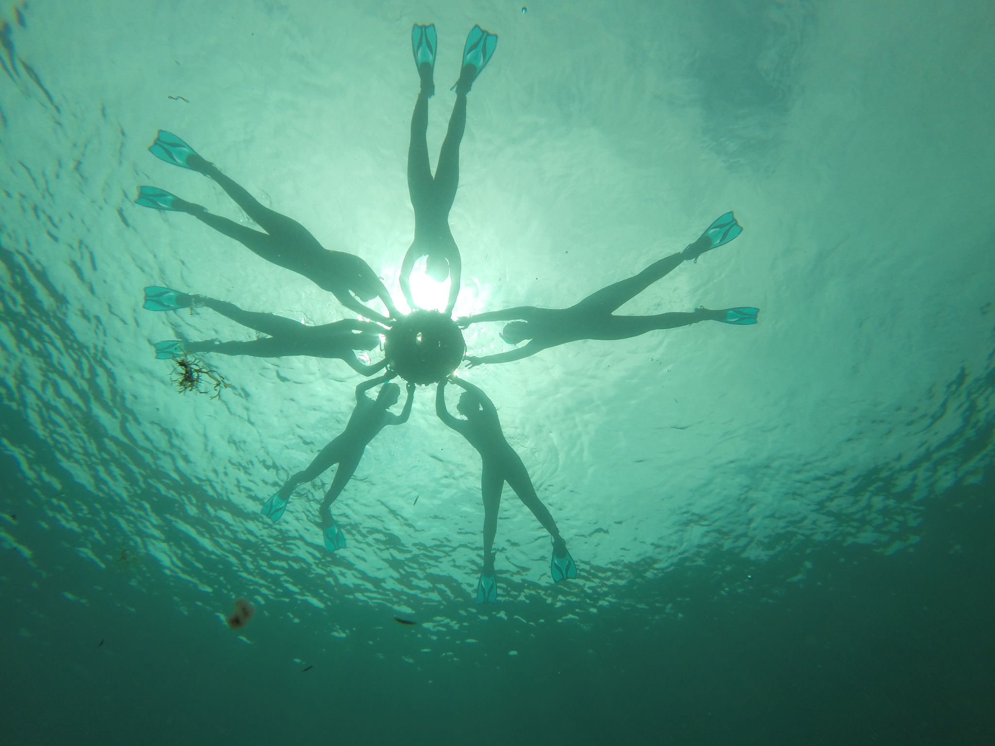 Atelier Bleu - Cpie Côte Provençale - photo 3