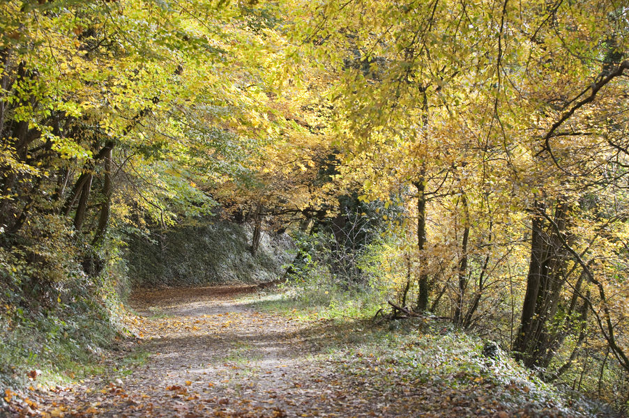 Randonnées à cheval en CAPI