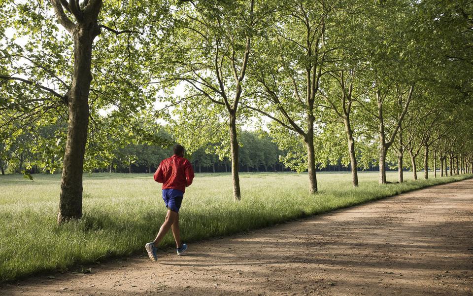 Trail du Domaine viticole 