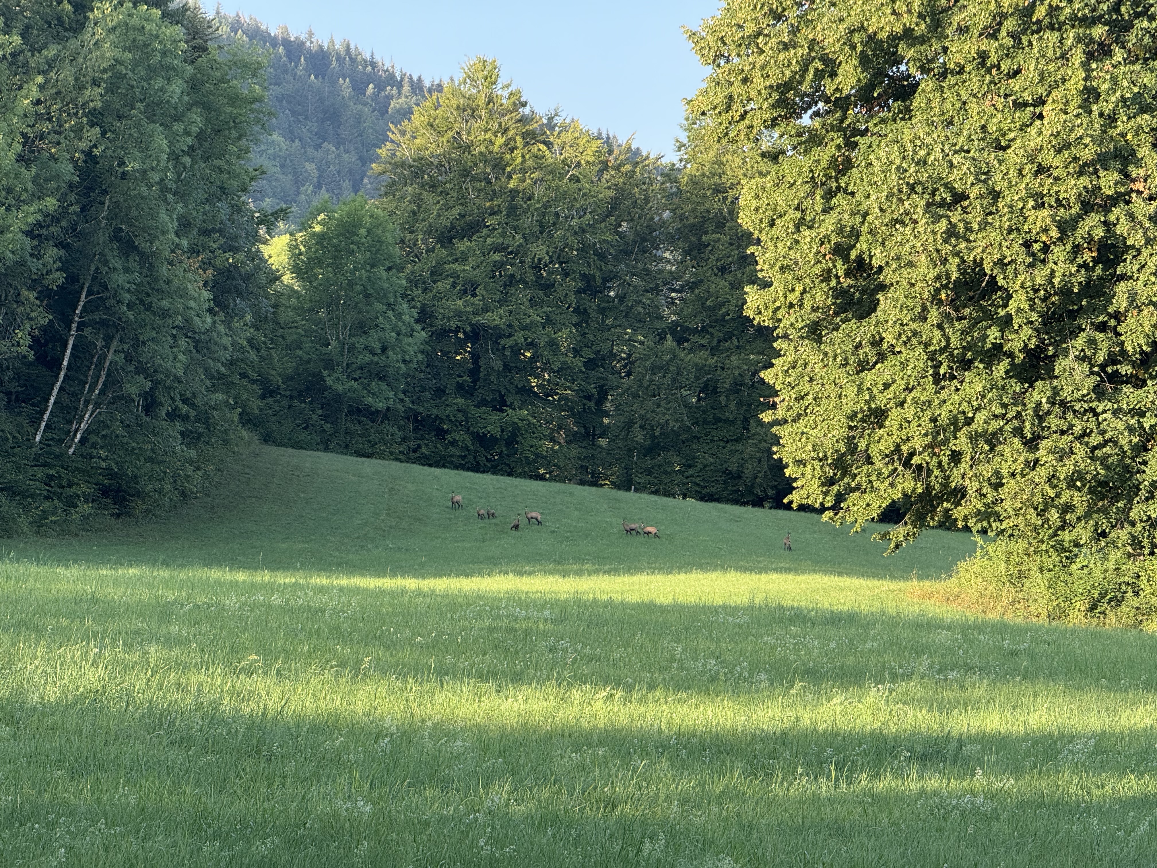 photosFeed-https://static.apidae-tourisme.com/filestore/objets-touristiques/images/182/229/41936310.jpeg