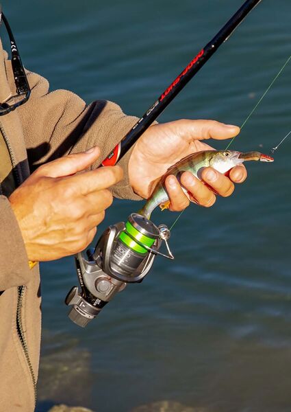Introduction to fishing
