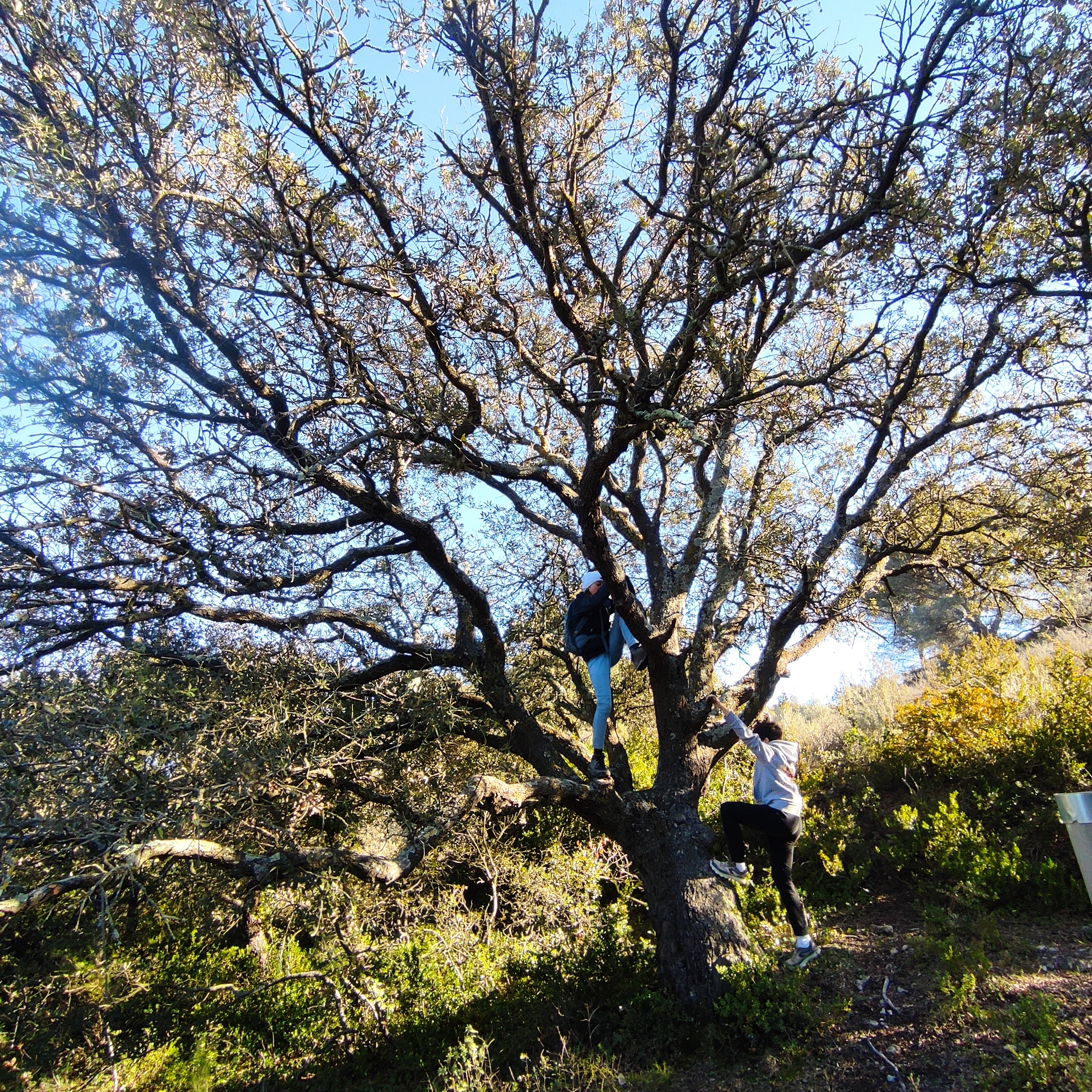 Randonner la Provence, Alleins - photo 2
