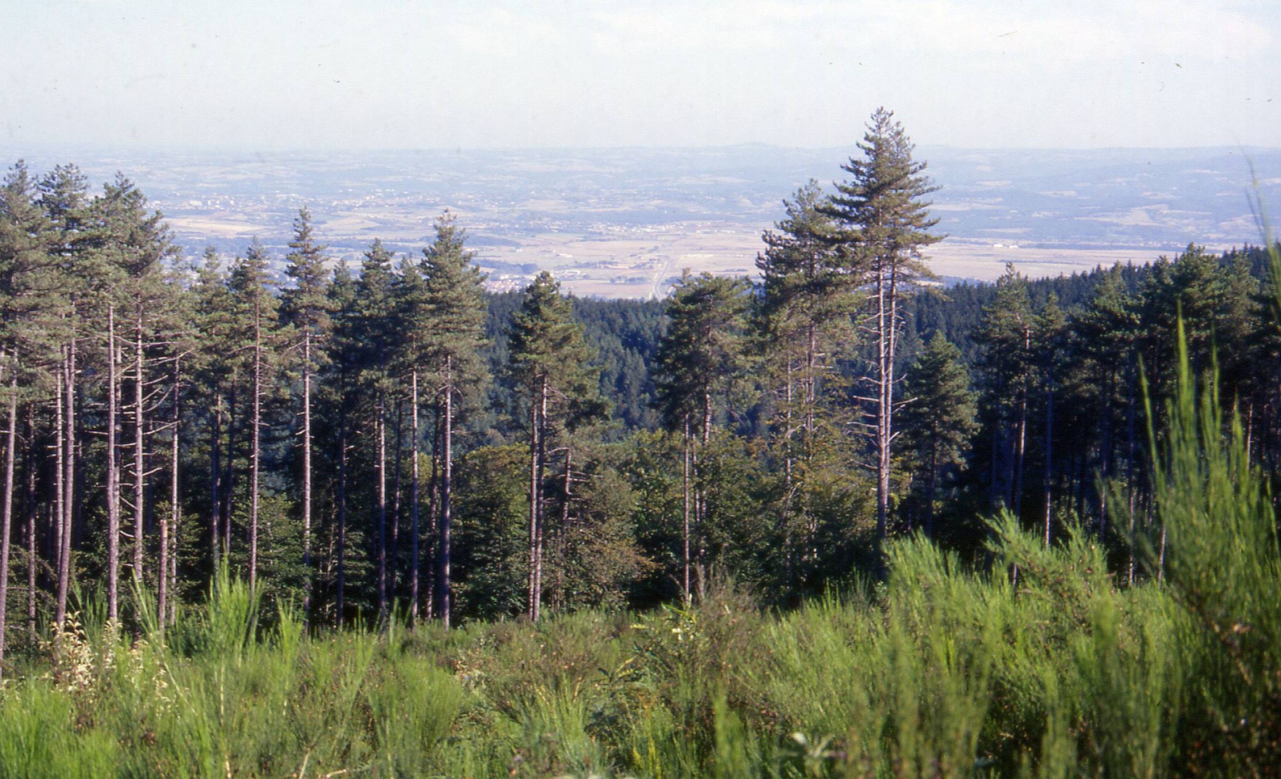 sentier-carboneral2