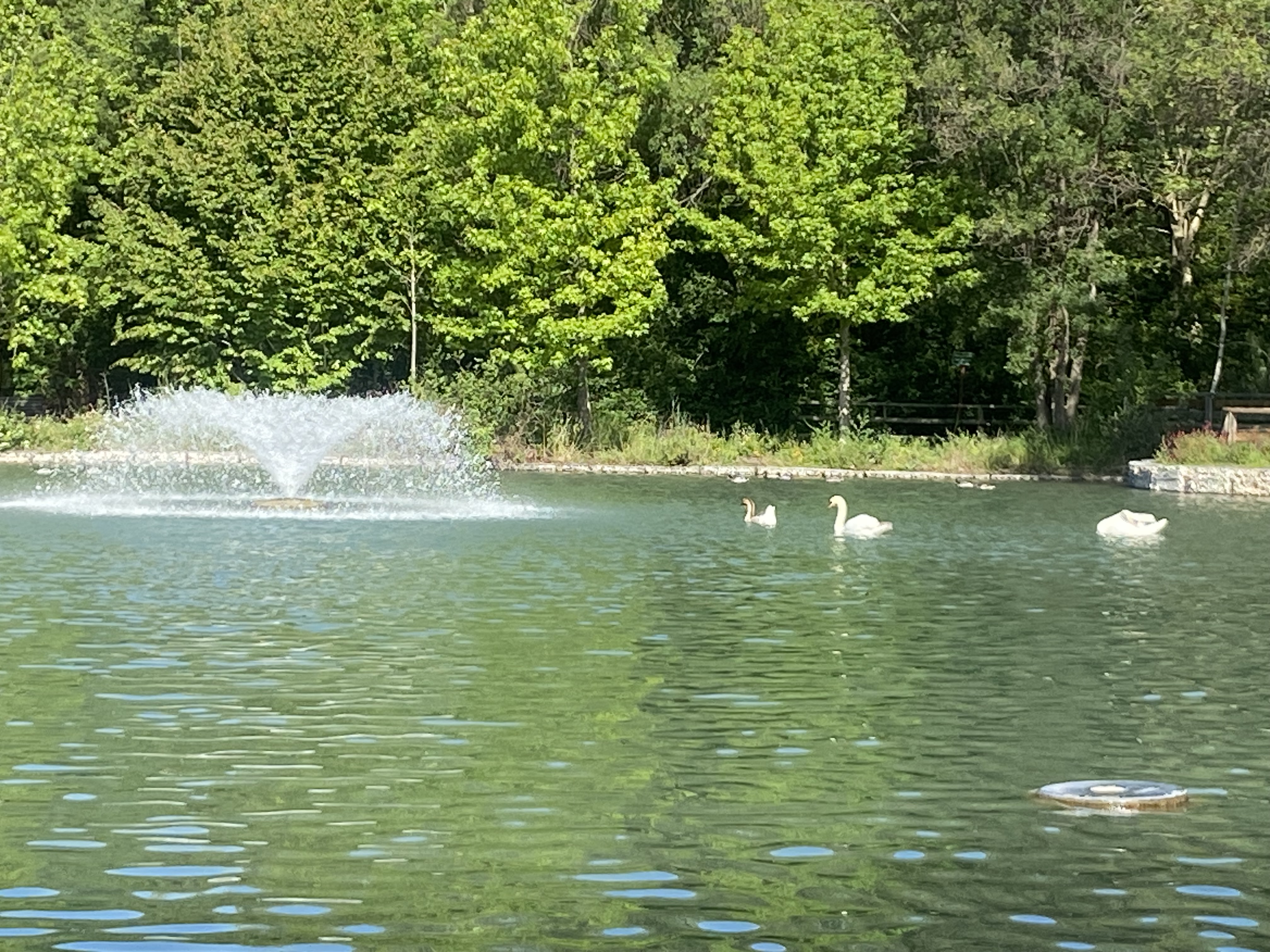 Le jardin de Gaston, Saint-Martin-de-Crau - photo 2