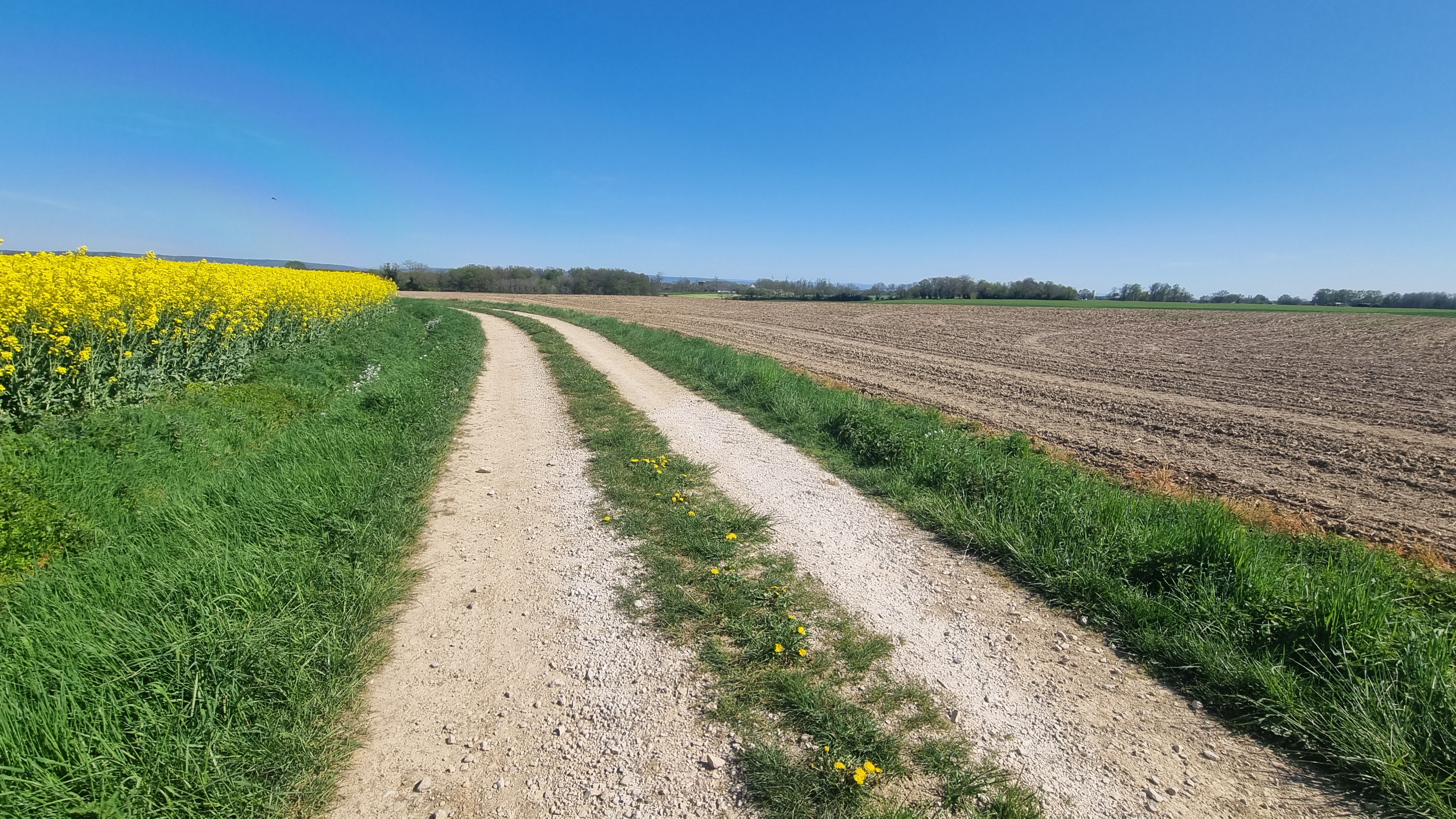 Circuit VTT-VTC n°11 (bleu) - Prairie de Jayat - Chartreuse de Montmerle