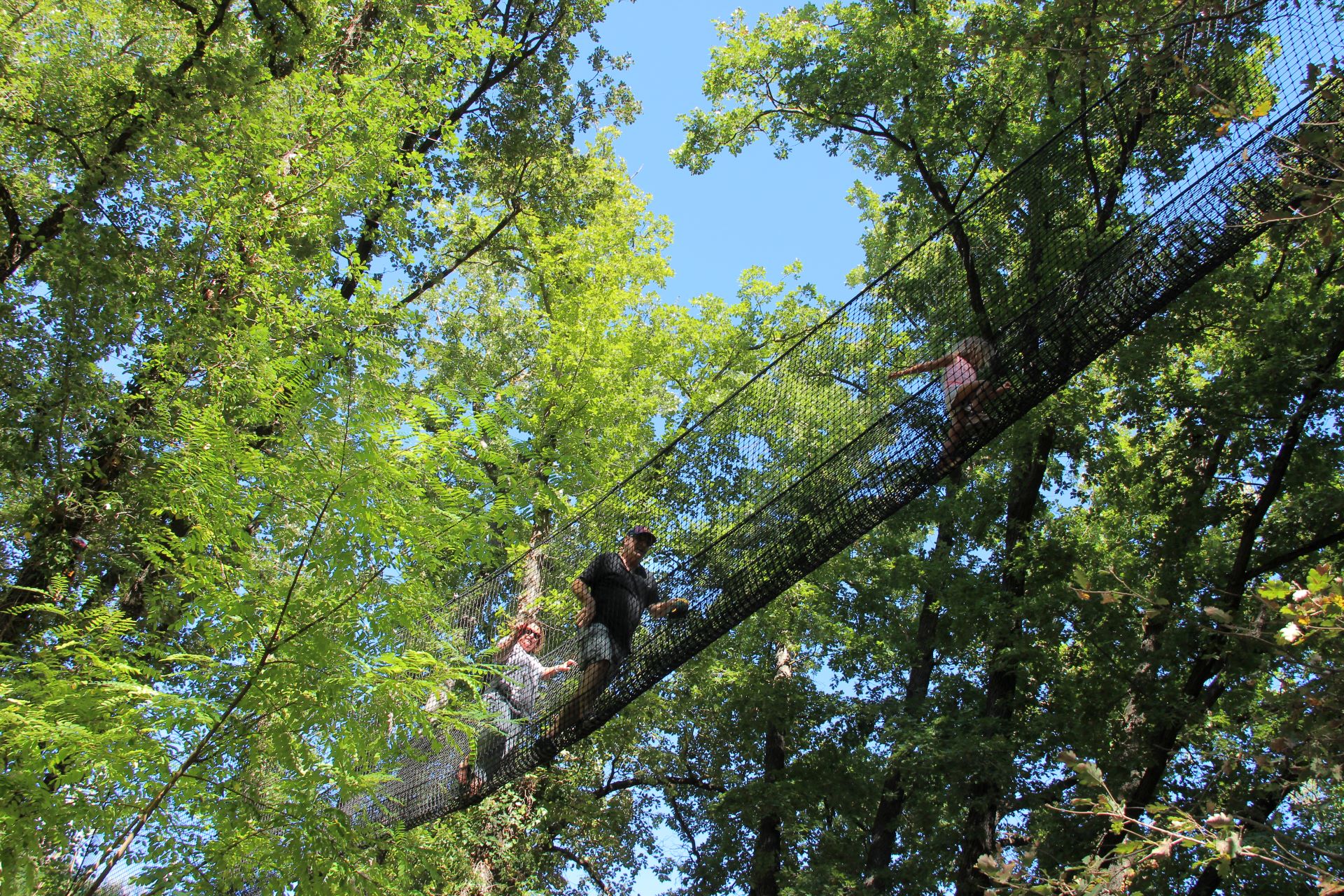 Le bois des lutins, Peypin - photo 2