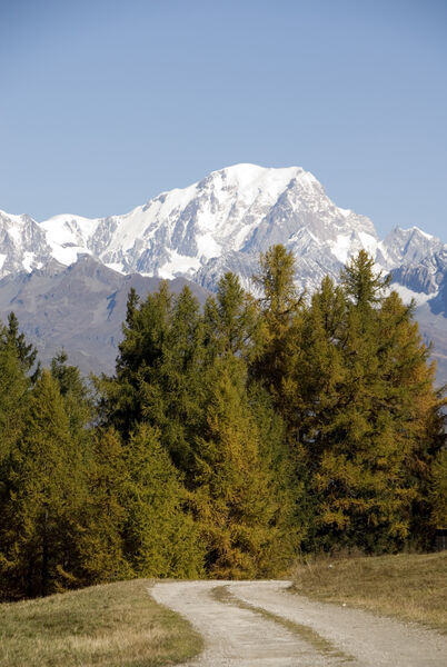 Panorama sur le Mont Blanc