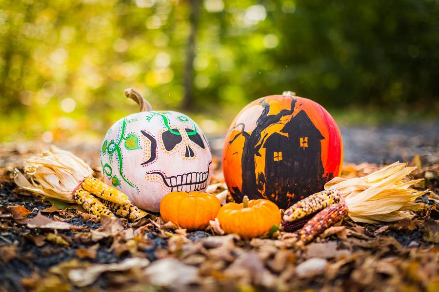 Halloween à la ferme de Bozzi