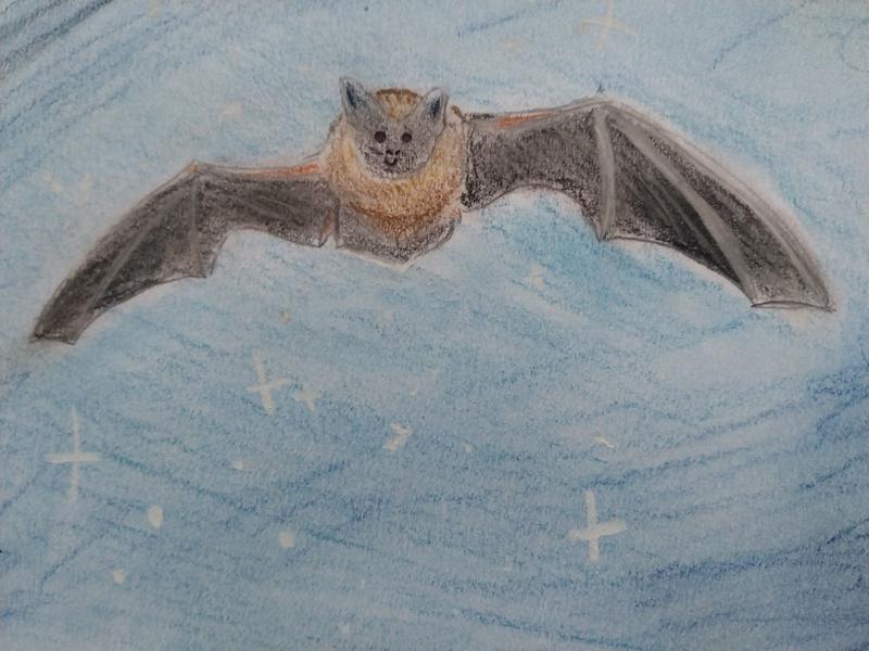 Dessin d'une chauve-souris en vol