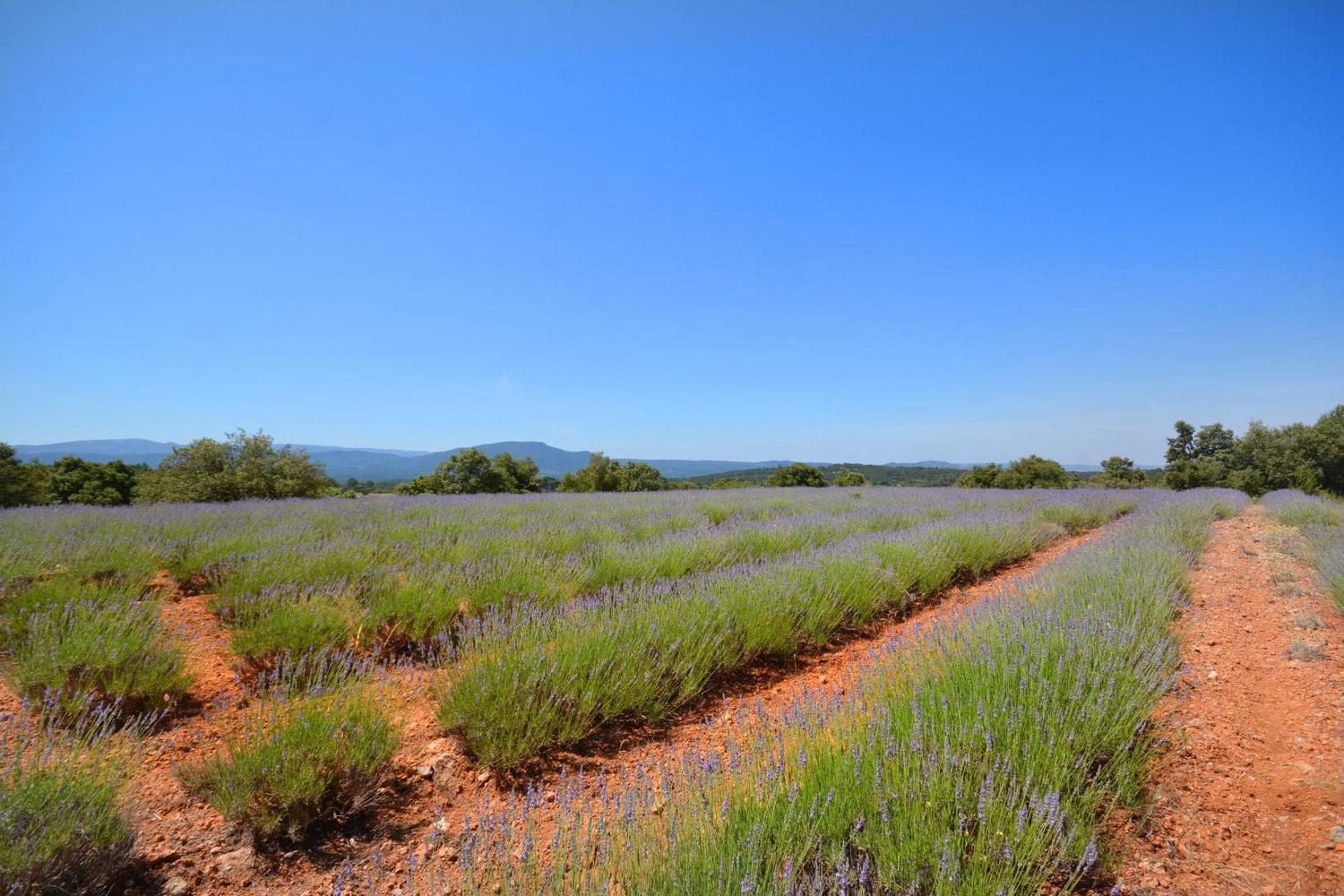 La Sainte Victoire, Jouques - photo 21