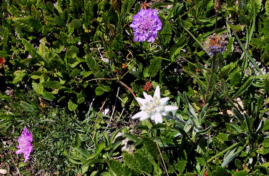 Image test 058