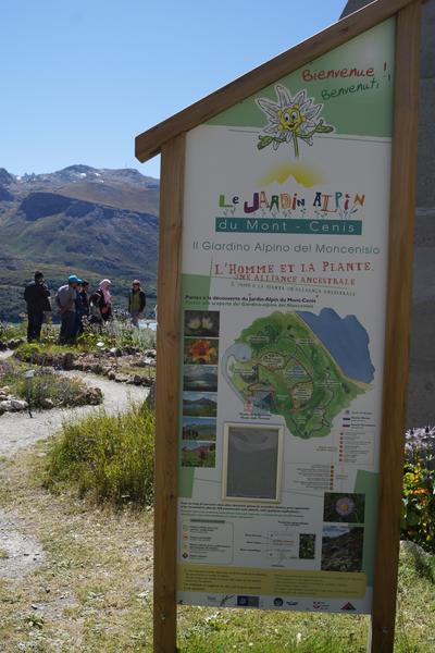 Jardin alpin du Mont-Cenis