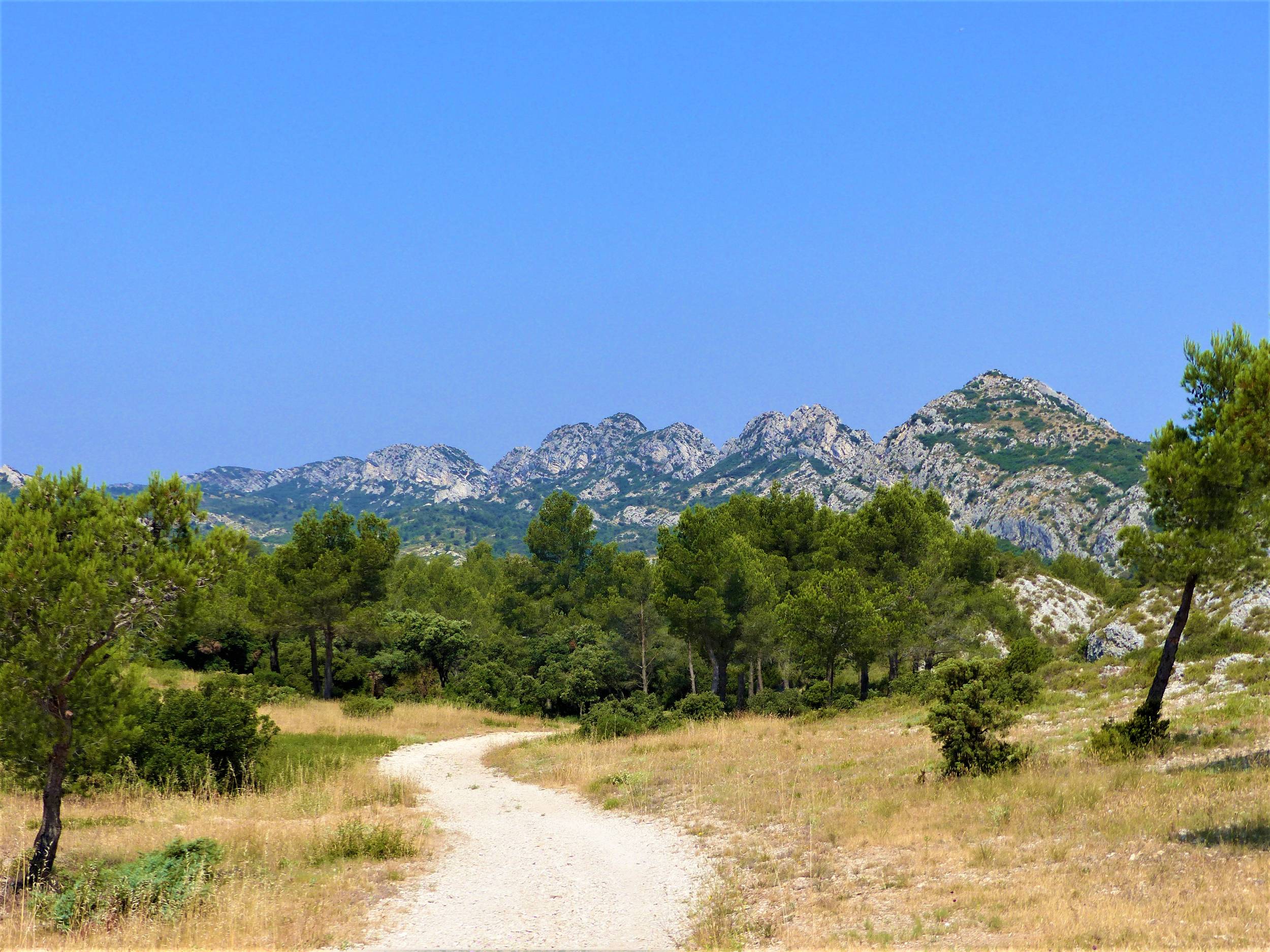 EYGALIÈRES - Petit et Gros Calans, Eygalières - photo 4