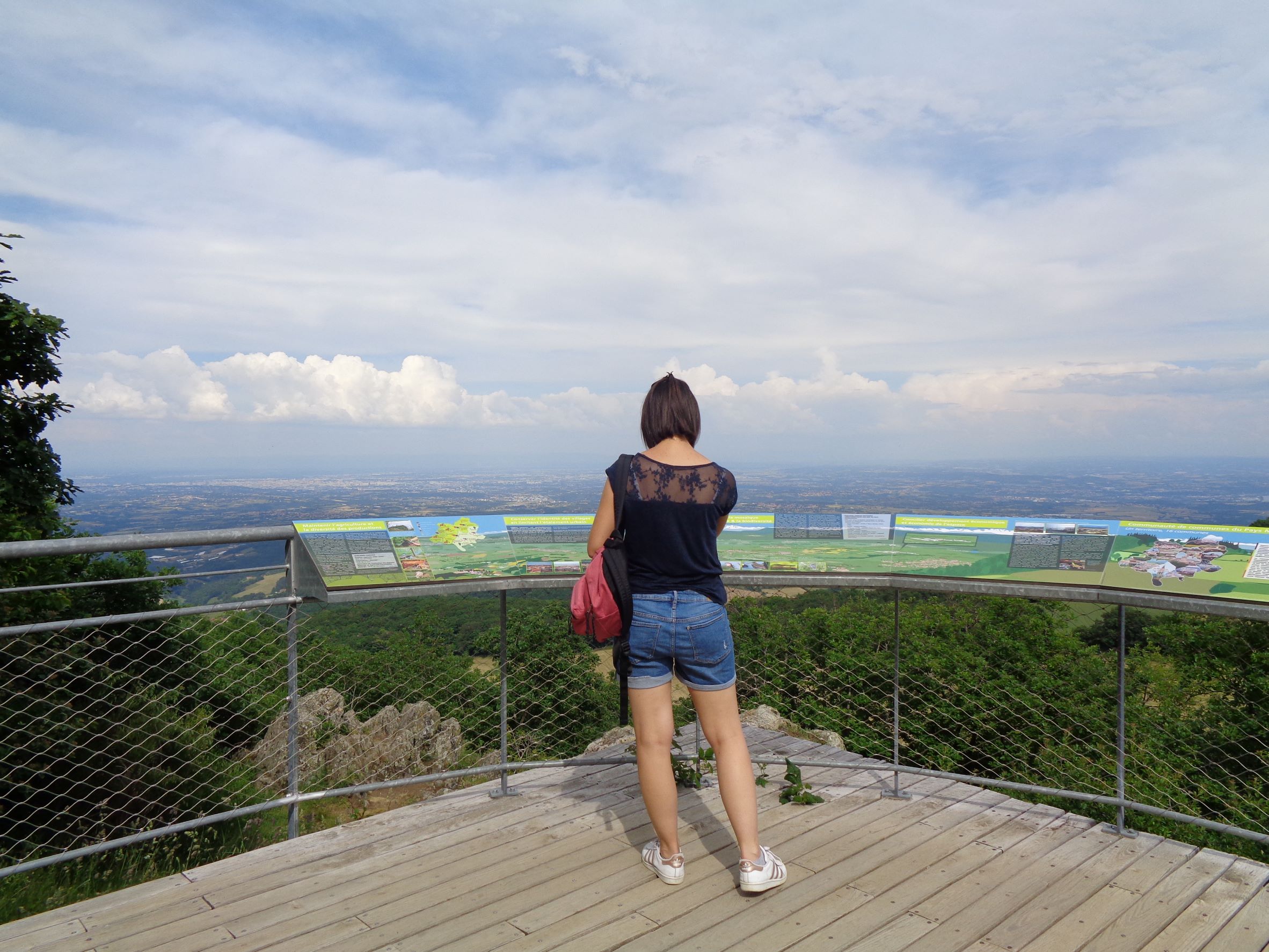 Panorama